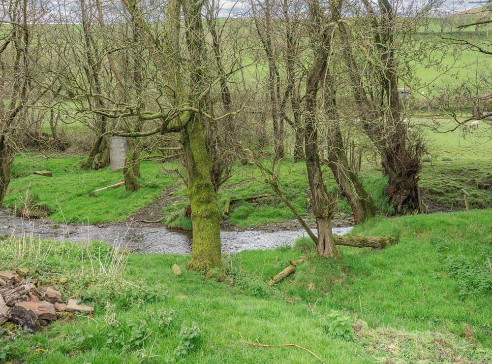 Garden and grounds at Melancroft in Llanfihangel Nant Melan, near Presteigne, Powys
