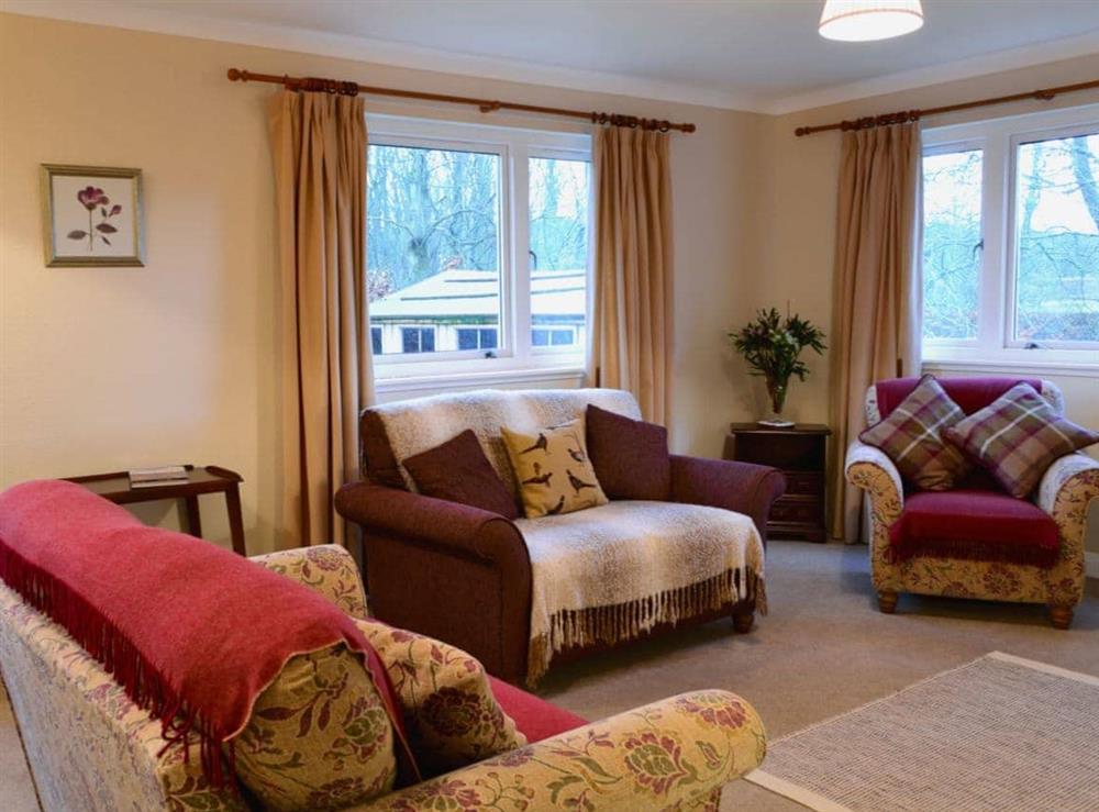 Comfortable living room at Melgund Glen Lodge in Minto, near Hawick, Roxburghshire