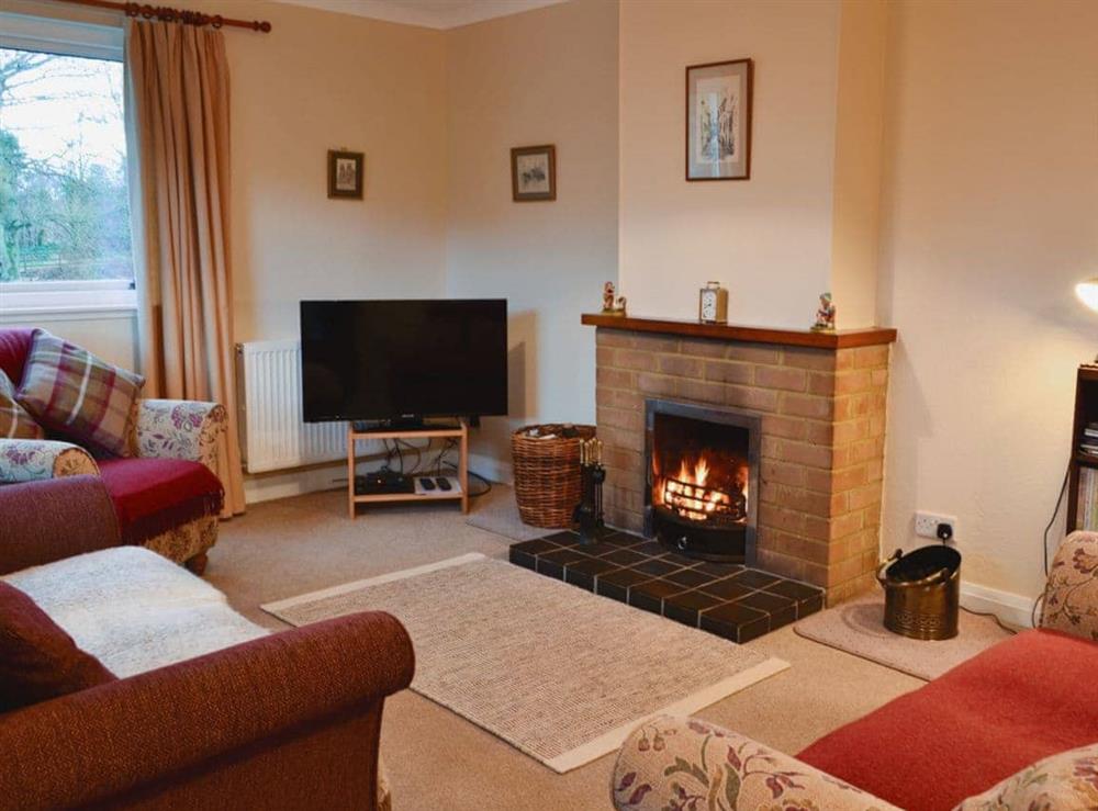 Cosy living room at Melgund Glen Lodge in Minto, near Hawick, Roxburghshire