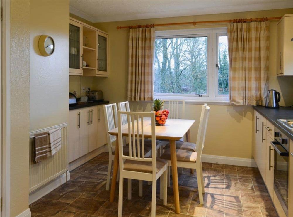 Light, kitchen/dining area (photo 2) at Melgund Glen Lodge in Minto, near Hawick, Roxburghshire