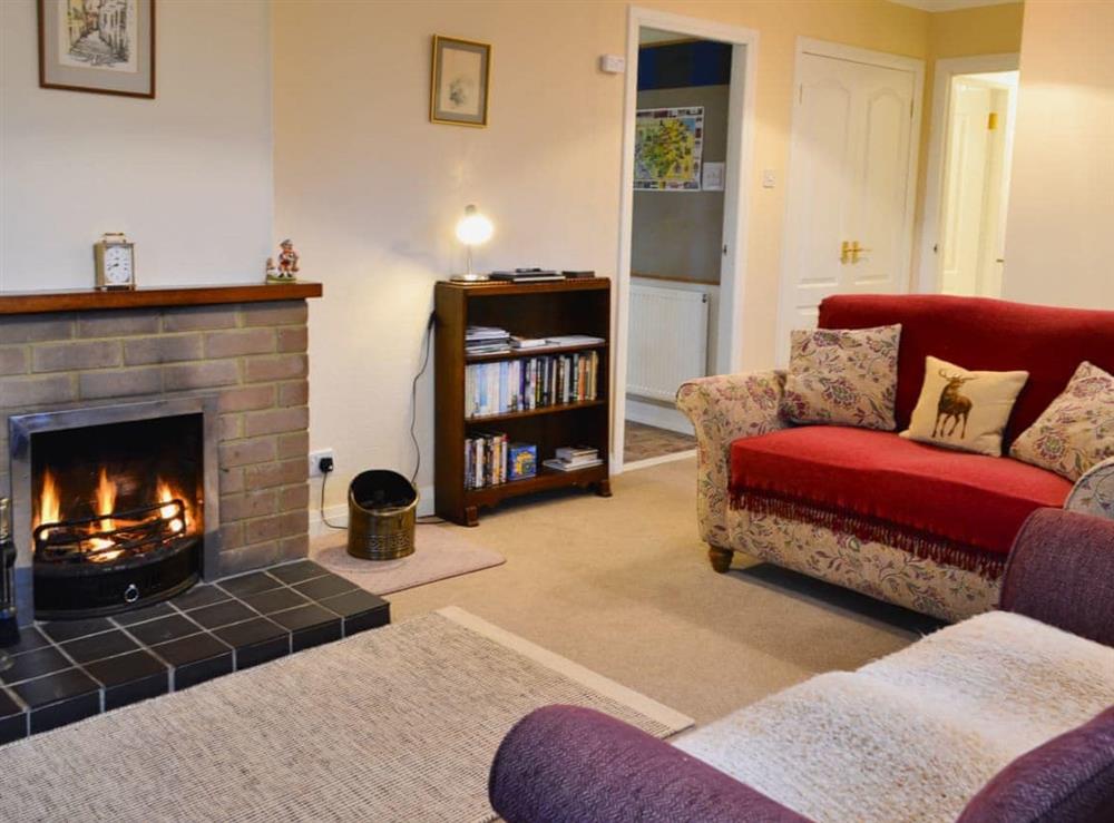 Living room at Melgund Glen Lodge in Minto, near Hawick, Roxburghshire