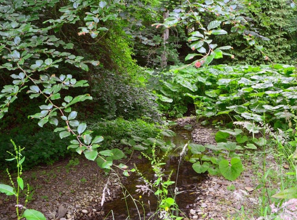 Small stream, bordering the open garden at Melgund Glen Lodge in Minto, near Hawick, Roxburghshire