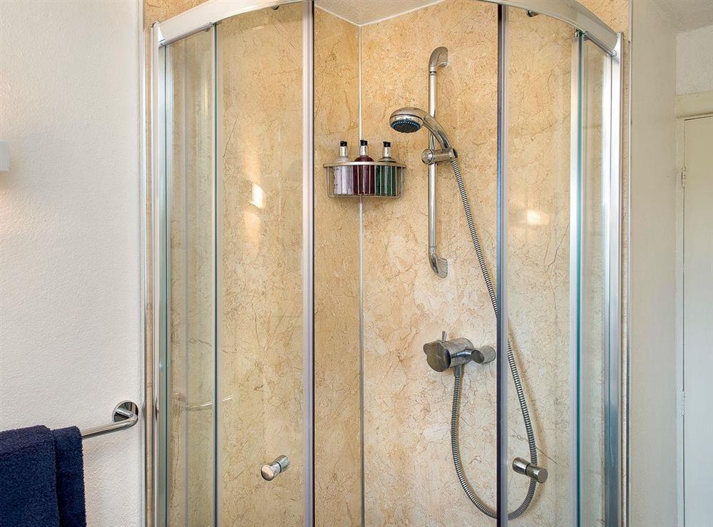 Walk-in shower cubicle at The Shippon, 