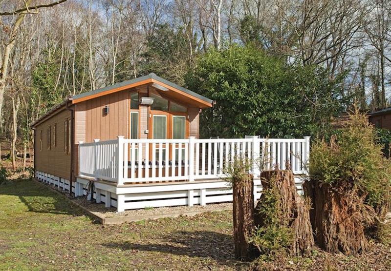 Signature 2 (photo number 7) at Merley Woodland Lodges in Dorset, South West of England