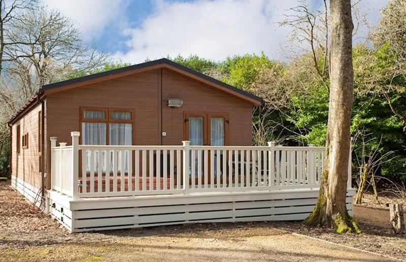 Signature 3 at Merley Woodland Lodges in Dorset, South West of England