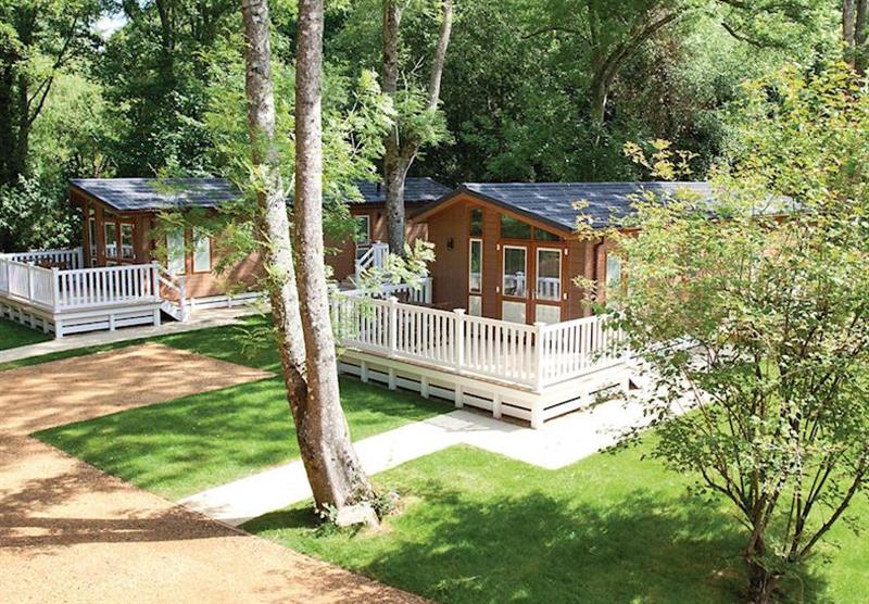 The park setting (photo number 5) at Merley Woodland Lodges in Dorset, South West of England