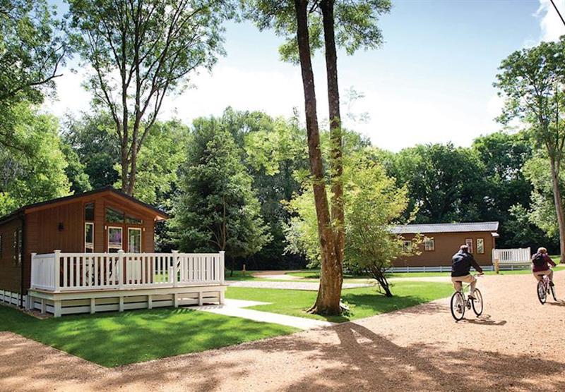 The park setting at Merley Woodland Lodges in Dorset, South West of England