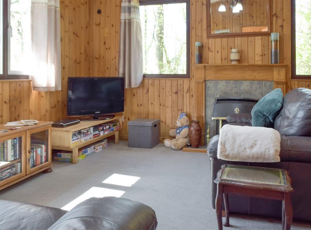 Living area at Merlins Cabin in Cenarth, near Newcastle Emlyn, Dyfed