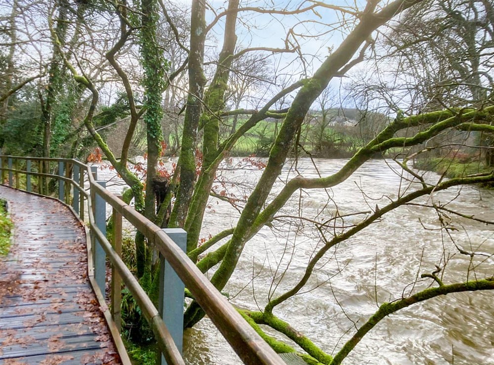 Teifi River