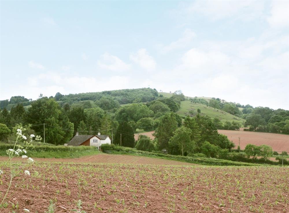 Panoramic views of the countryside (photo 2) at Merryview Bungalow in Orcop, near Hereford, Herefordshire