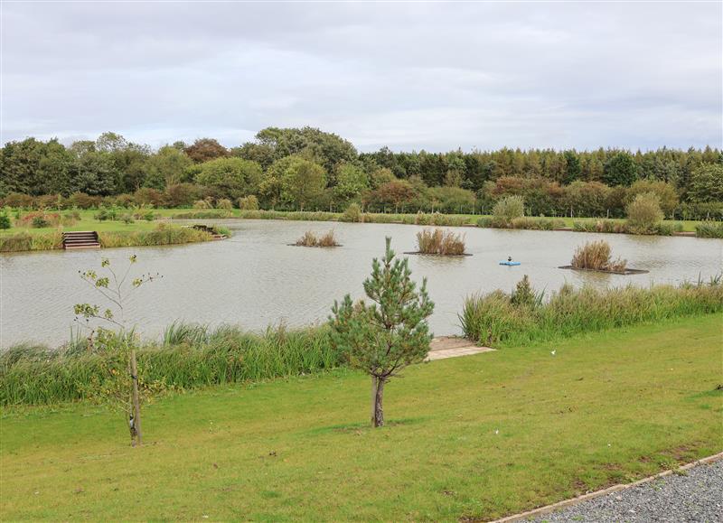 The setting at Micklemore Lakes and Lodges, North Thoresby