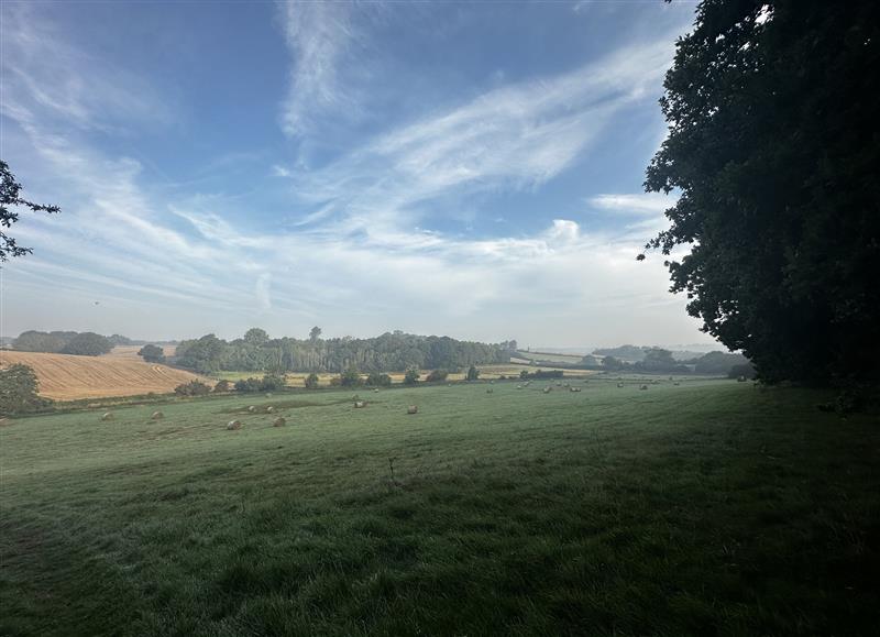 Rural landscape