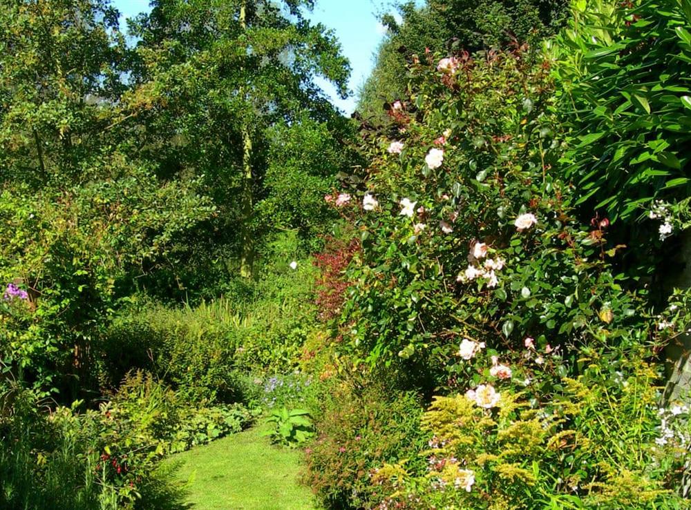 Stunning well-maintained mature garden at Middle Cottage in Letheringsett, near Holt, Norfolk