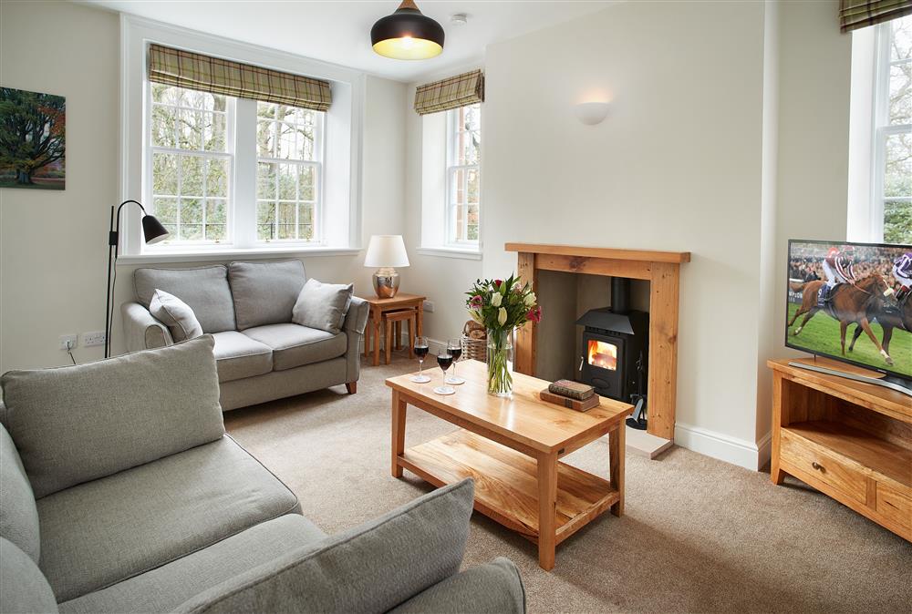 Sitting room with wood burning stove at Middle Lodge, Netherby Hall, Longtown