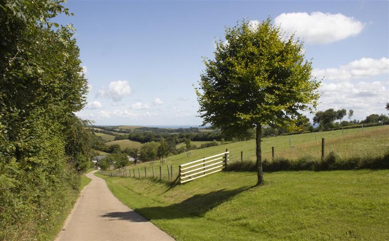 Rural landscape