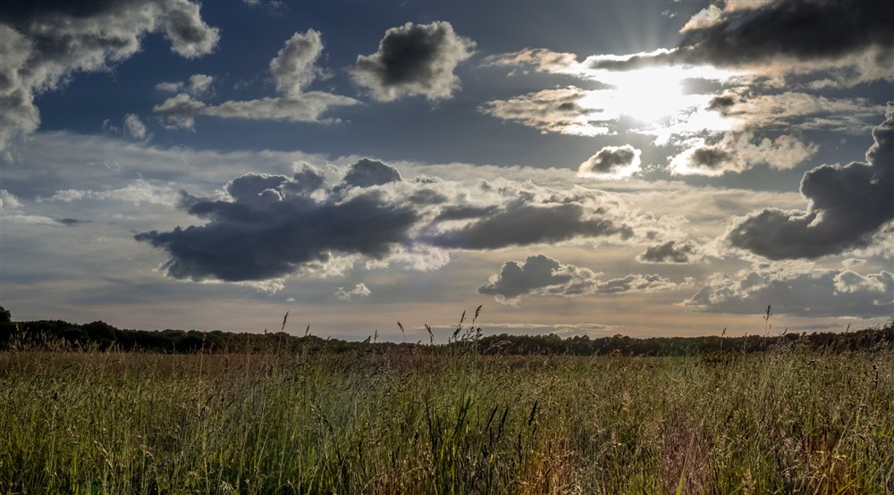 The countryside near Middlebere Farmhouse, Dorset at Middlebere Farmhouse in Isle Of Purbeck, Dorset