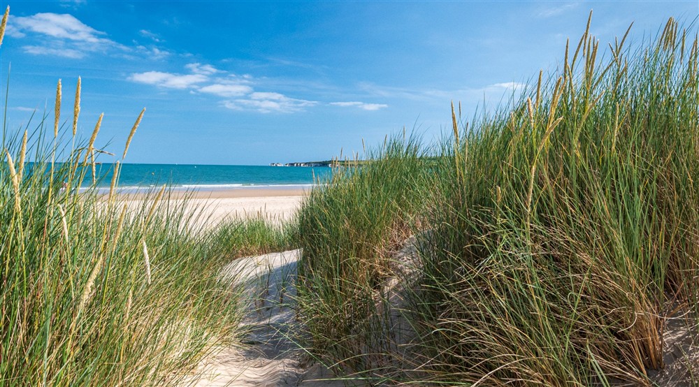 View between dunes to turquoise sea and white cliffs beyond at Middlebere Farmhouse in Isle Of Purbeck, Dorset