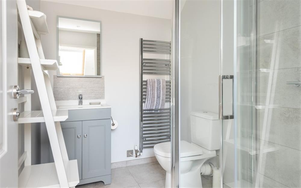 The master en suite shower room. at Middlecombe Lodge in Beesands
