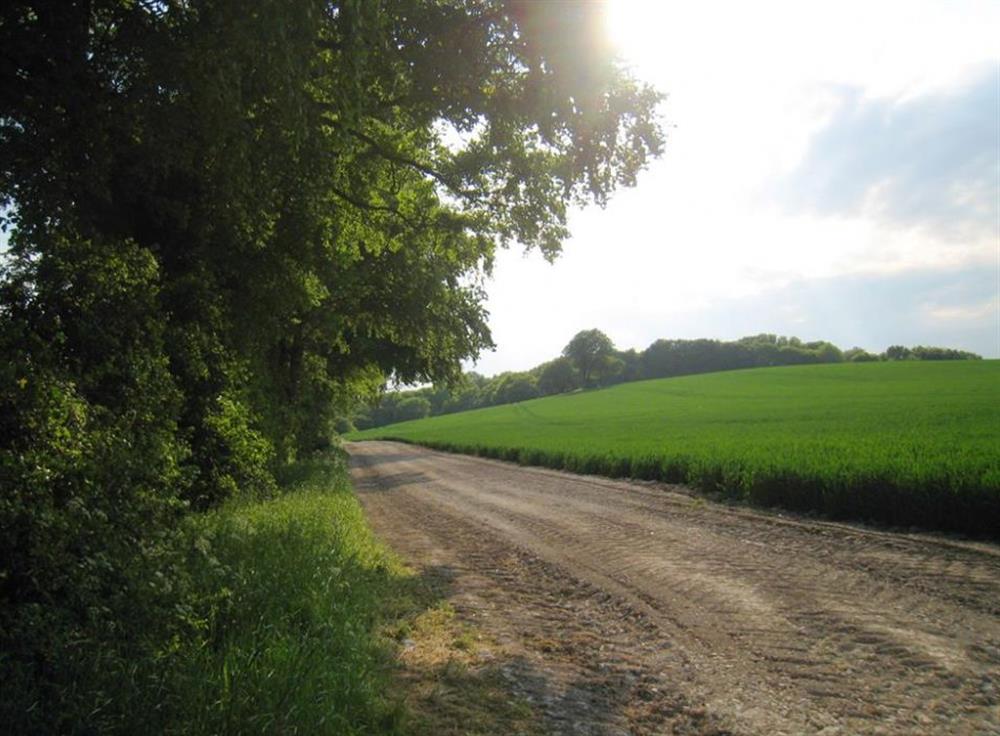 Countryside road at Middledown, Nr Alton, Hampshire