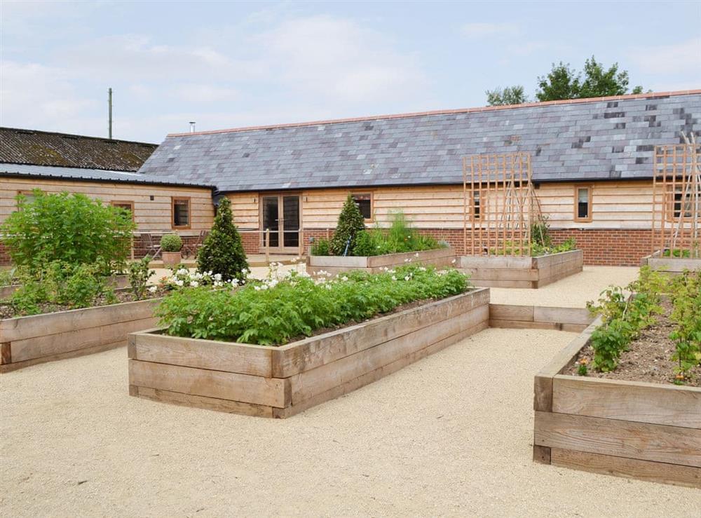 Well-kept and well-stocked courtyard area with raised beds at Chiddock Cottage, 