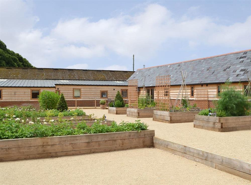 Wonderful shared courtyard area with raised beds offering a range of herbs, vegetables and summer fruits at Chiddock Cottage, 