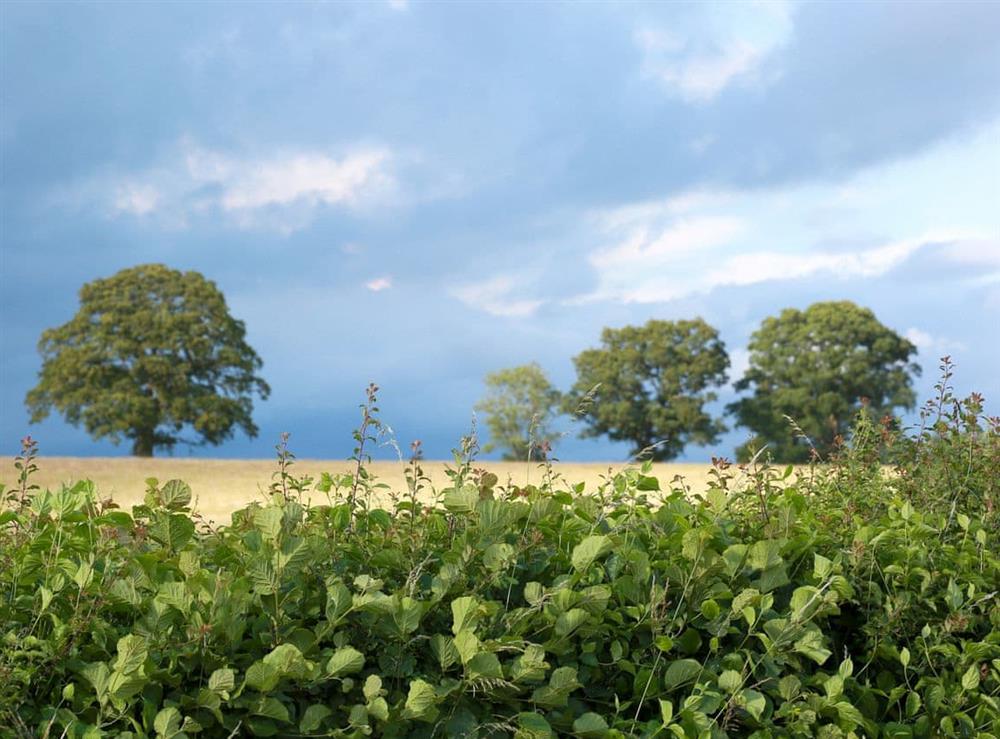Country Views and walks from around Midknowle Farm and Barns at Midknowle Barn, 