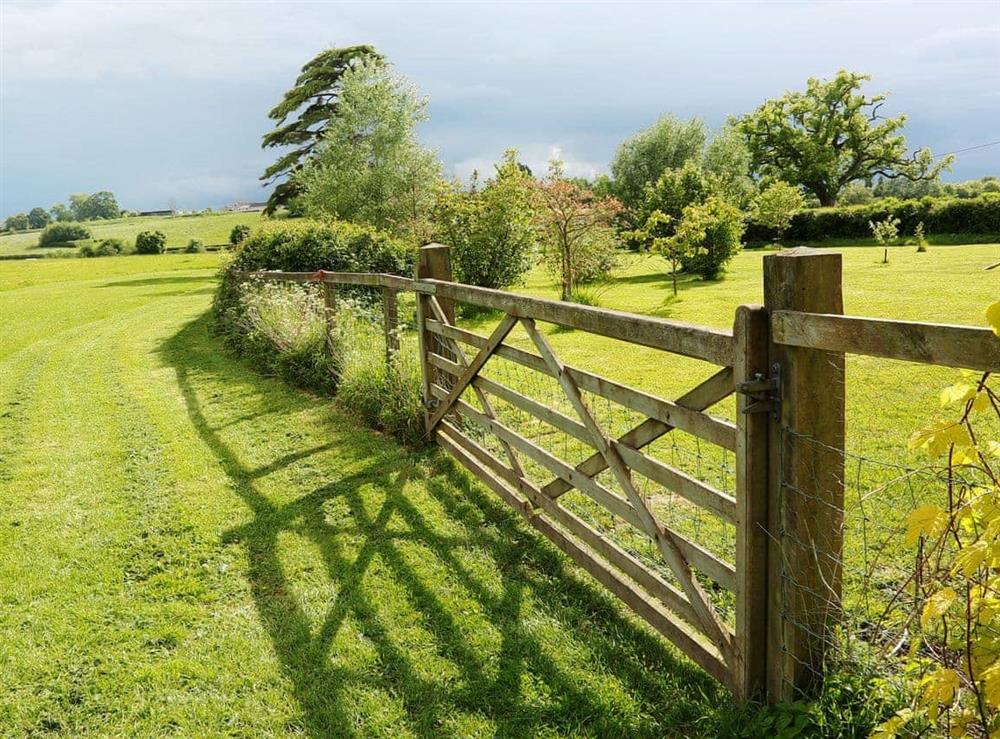Ten acres of fields for children and dogs and everyone to play at The Cottage, 