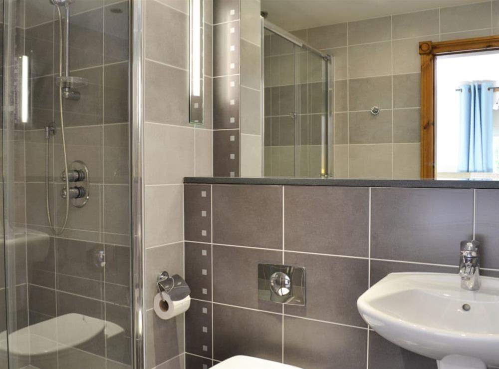 En-suite showroom with shower cubicle and heated towel rail