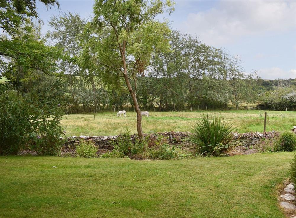 Garden and grounds (photo 3) at Mill Cottage in Aveton Gifford, near Kingsbridge, Devon