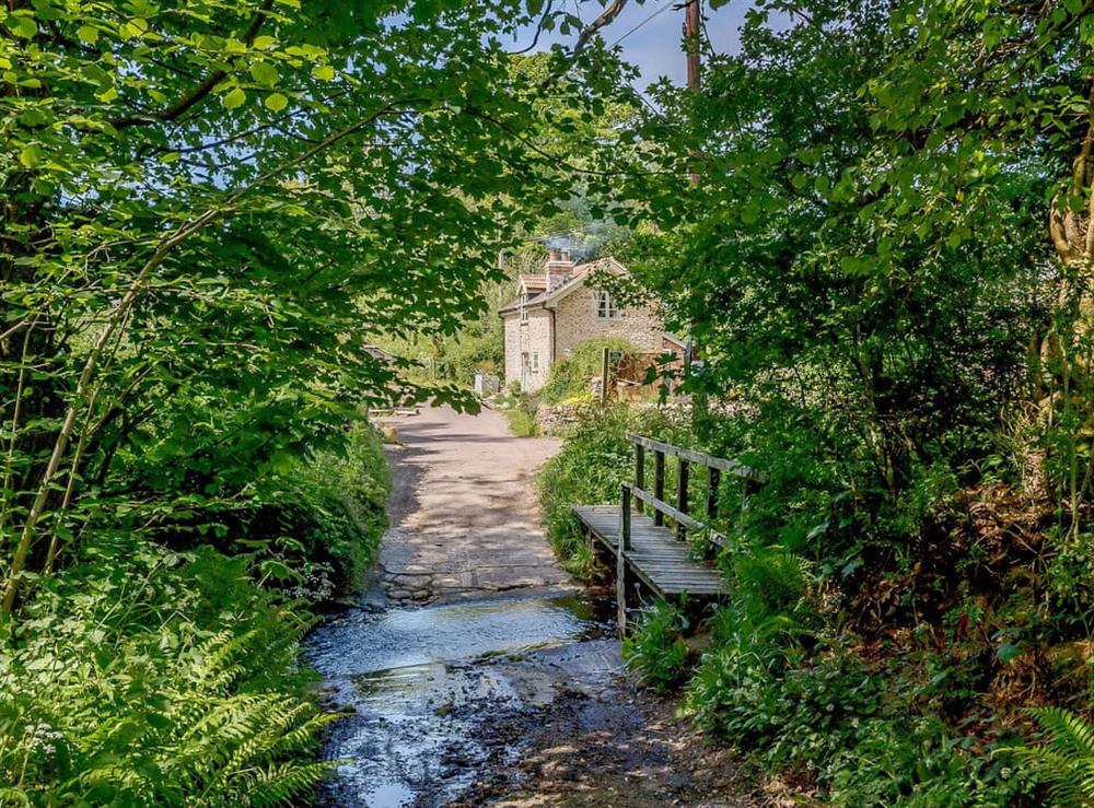 Beautiful rural location at Mill Cottage in Hawkchurch, near Axminster, Devon