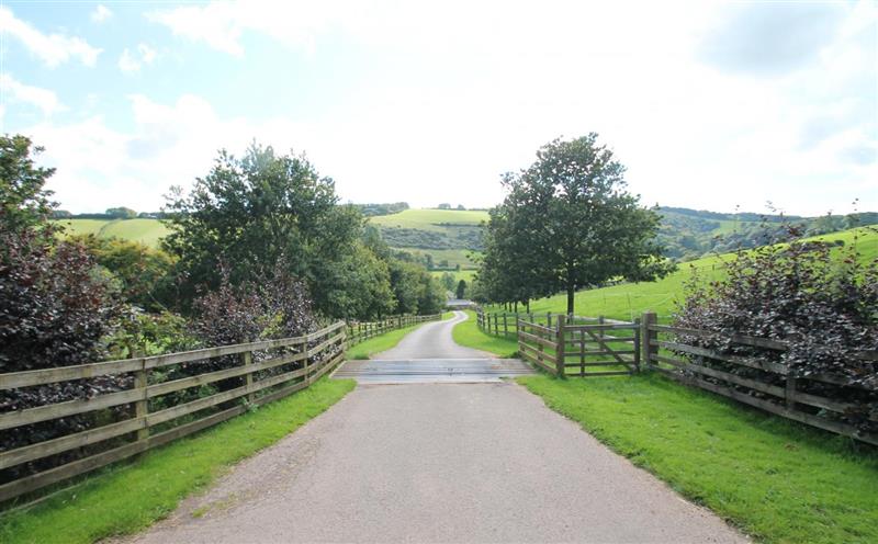 Rural landscape