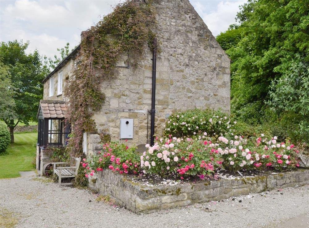 Traditional stone-built property with mature garden and lawned area at Mill Cottage in Rievaulx, near Helmsley, North Yorkshire