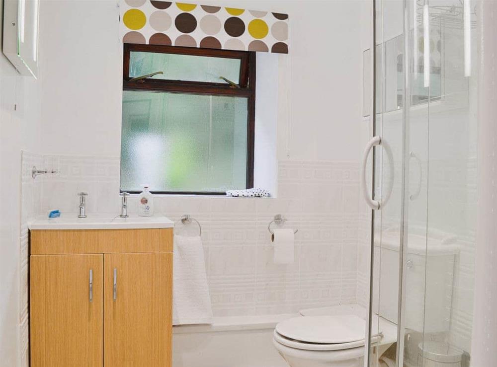 Shower room at Heyope Cottage, 