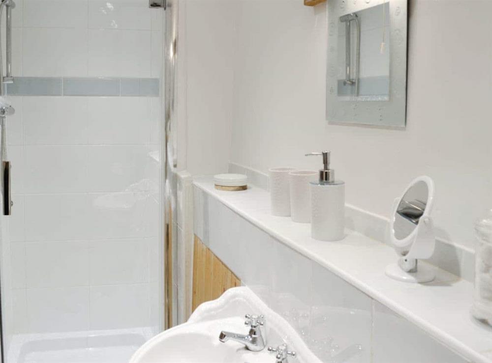 En-suite shower room at Mill Meadow Cottage  in East Down, Barnstaple, Devon., Great Britain
