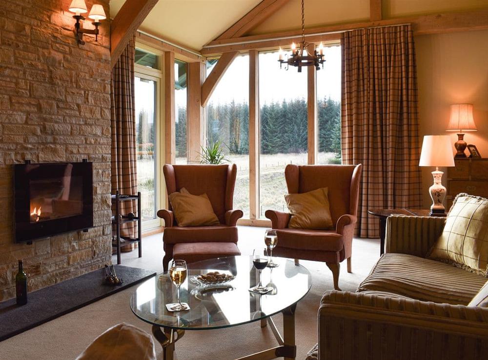 Cosy living room with wood burner at Mill of Burncrook in Ballindalloch, near Dufftown, Moray, Banffshire