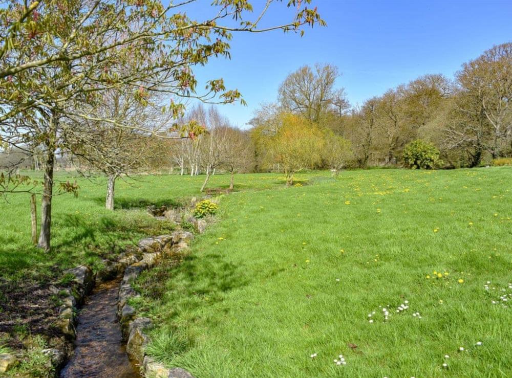 Picturesque garden and grounds with pond and stream (photo 3) at Mill Pond Cottage in Bere Regis, Dorset