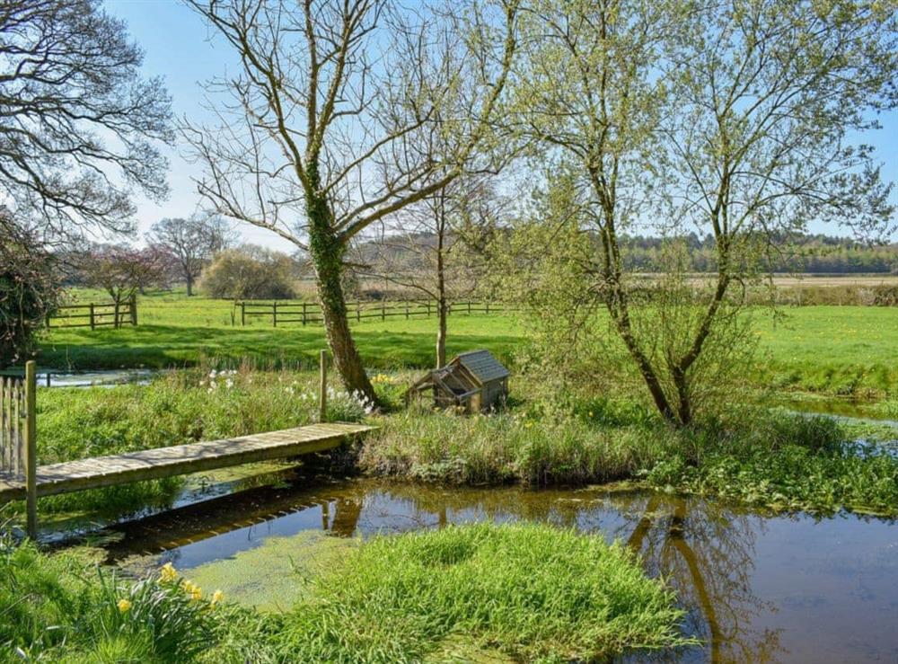 Picturesque garden and grounds with pond and stream at Mill Pond Cottage in Bere Regis, Dorset