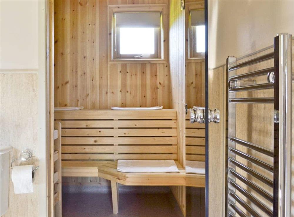 Wetroom and sauna at Lodge 2, 