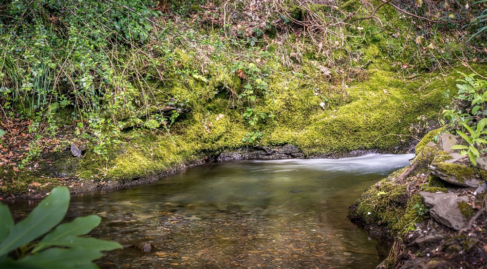 A stream on the other side of the little road from Millbeck Towers, Cumbria at Millbeck Towers in Keswick, Cumbria