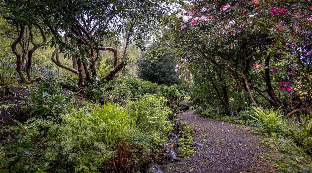 The path leading up to the top of the rear garden, alongside one of the streams at Millbeck Towers in Keswick, Cumbria