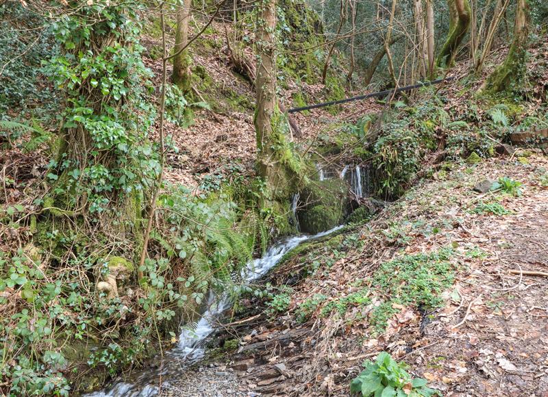 Rural landscape at Millers Loft, Llanrwst