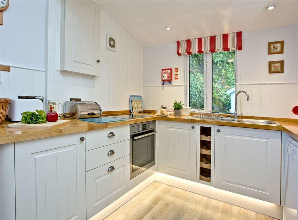 Modern fitted kitchen at Miller’s Thumb in Bow Creek, Nr Totnes, South Devon., Great Britain