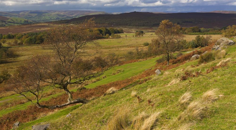 The Longshaw Estate near Wooden Pole, Derbyshire at Millstone Barn in Hope Valley, Derbyshire