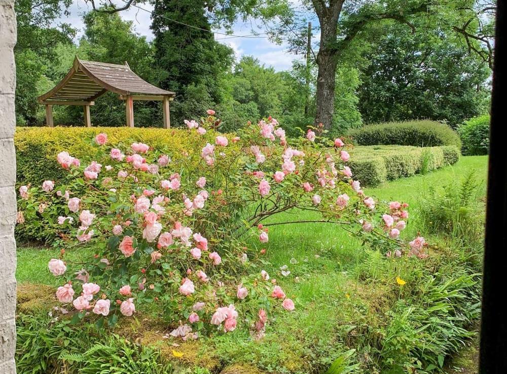 Garden (photo 3) at Milnhead Cottage in Dumfries, Dumfriesshire