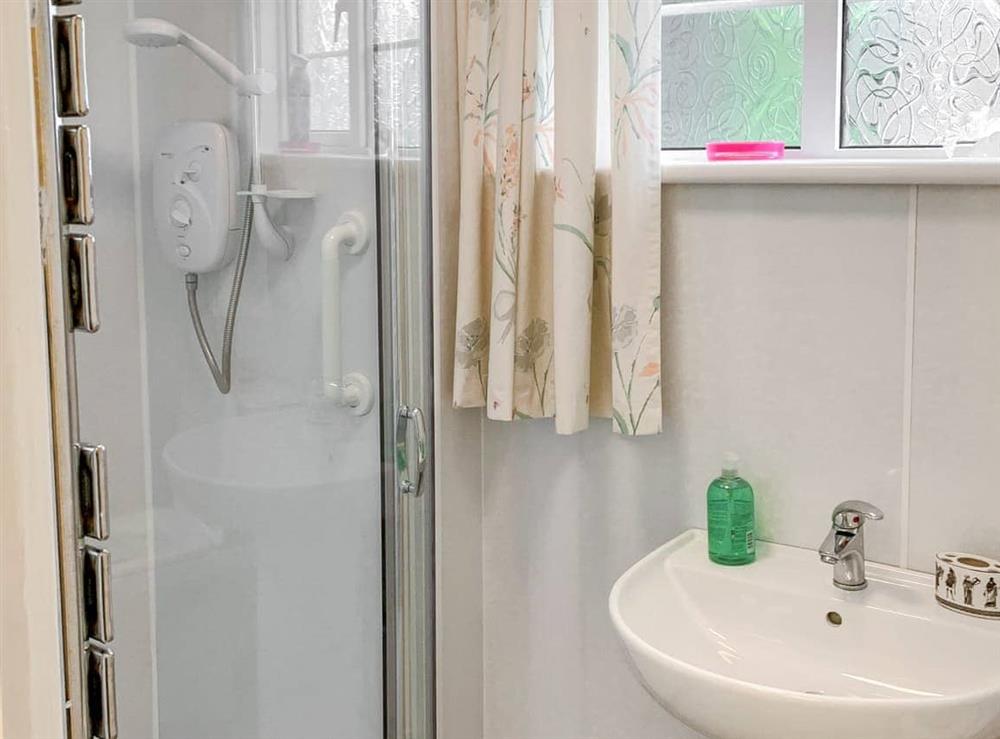 Shower room at Milnhead Cottage in Dumfries, Dumfriesshire