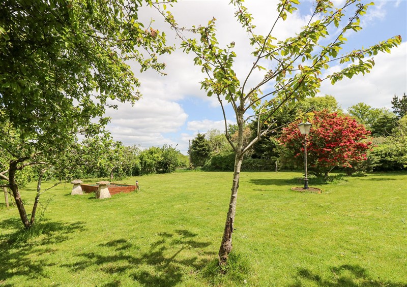 The garden at Milston, Chale