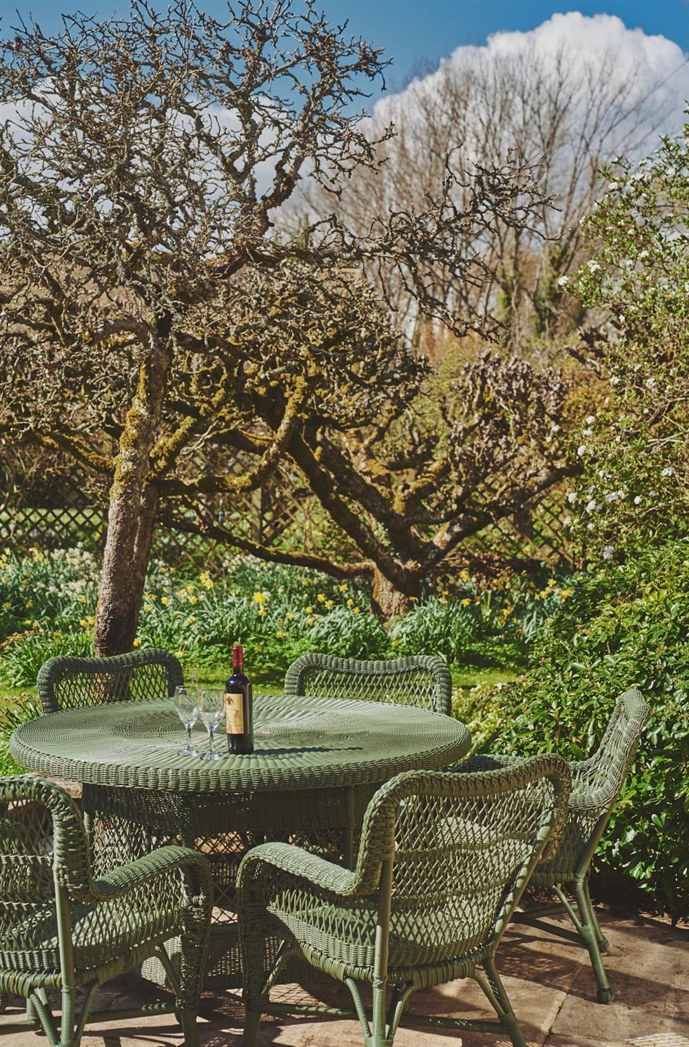 The outdoor dining table