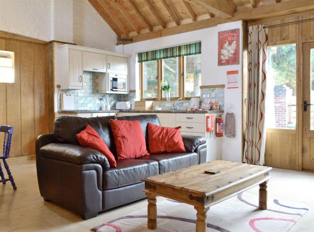 Open-plan living area at The Old Forge, 