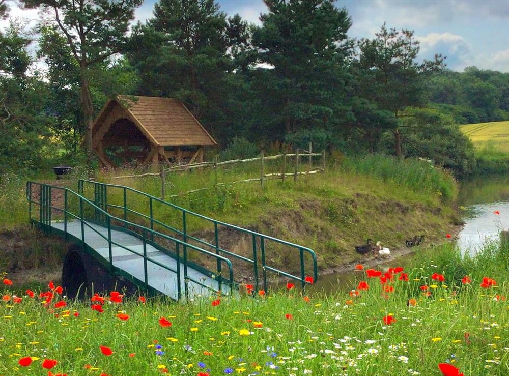 Pond with bridge leading to island with a rustic gazeebo and firepit at Miners Meadow in Wheatley Hill, Durham, England