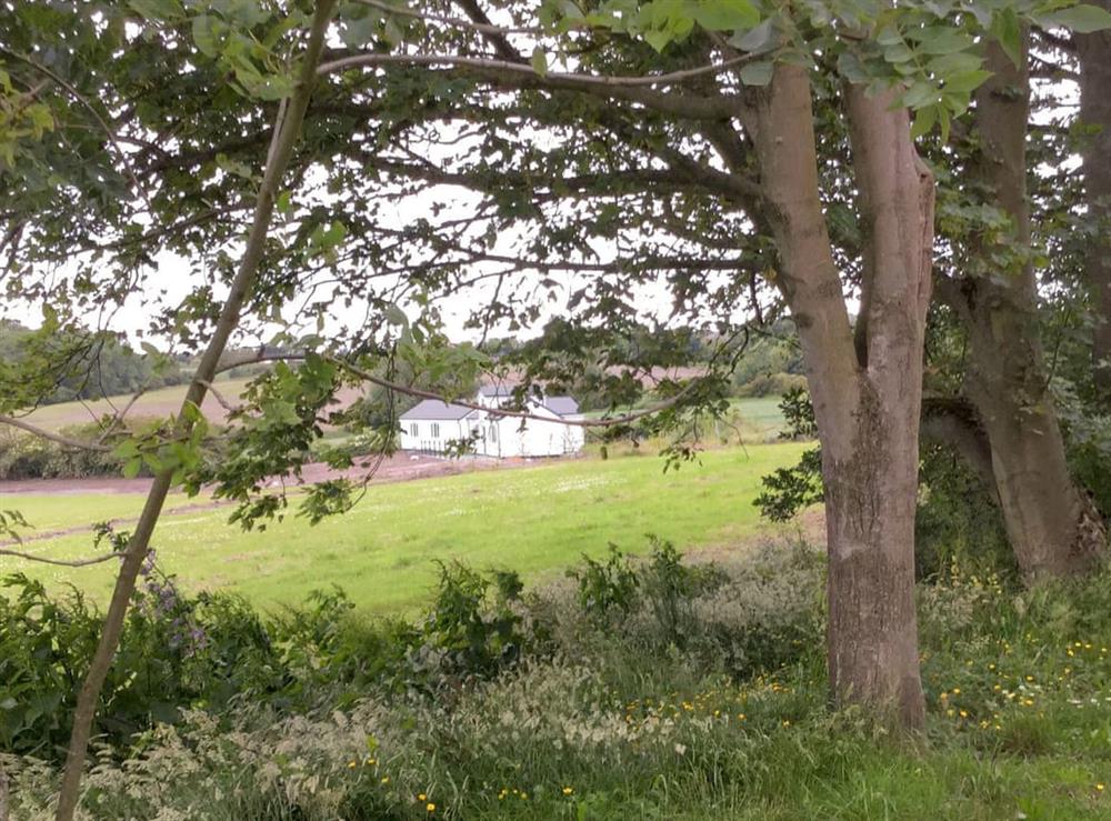 Rural location at Miners Meadow in Wheatley Hill, Durham, England